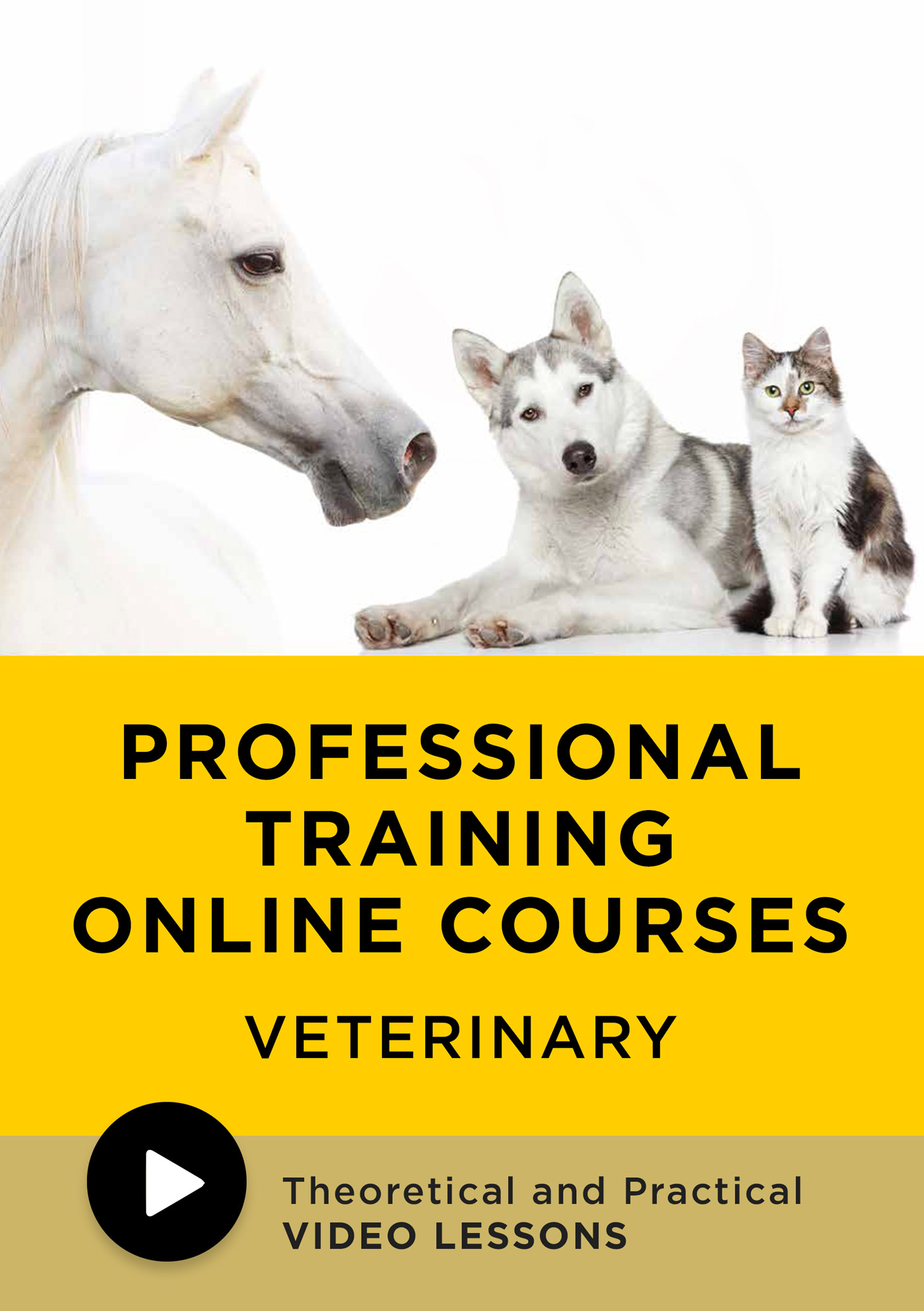 GLOBUS-ACADEMY-VETERINARY-VIDEO-LOCANDINA