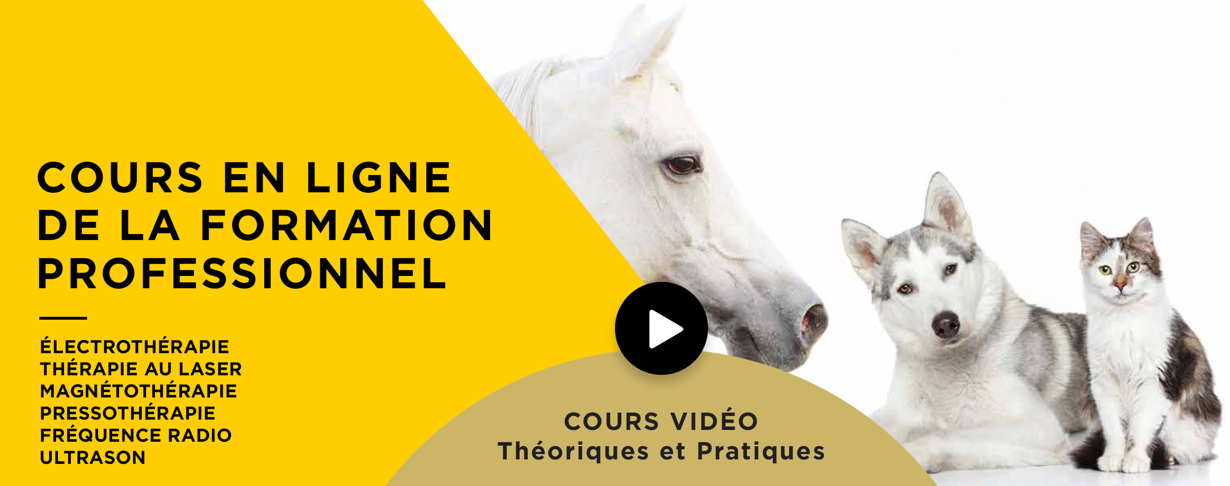 FR-globus-academy-veterinaria-video